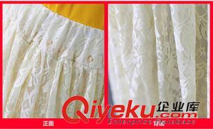 時(shí)尚半身裙 2015春季新款蕾絲百搭大擺半身裙時(shí)尚半身長(zhǎng)裙