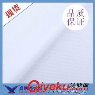 貼合布 廠家直銷 熱轉(zhuǎn)印運動服面料 小提花網(wǎng)眼布 運動衫提花面料