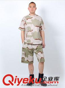 迷彩T恤 夏季cp迷彩t恤 校園男女學生軍訓迷彩短袖T恤軍訓服 批發(fā)