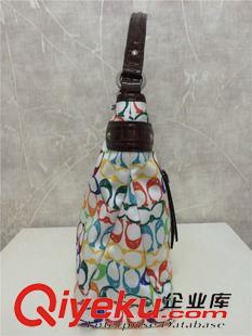 包包 時(shí)尚原單正品女包C家花俏女款可愛(ài)手提包 外貿(mào)品牌批發(fā)原始圖片3
