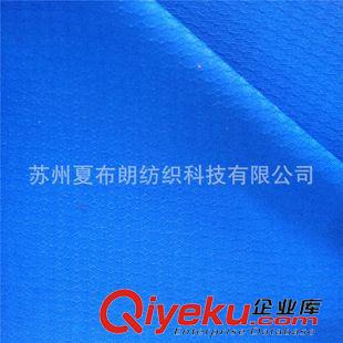 沖鋒衣面料 廠家直銷 春亞紡240T半光提花 菱中點 透明涂層 防風防寒 沖鋒衣