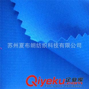 沖鋒衣面料 廠家直銷 春亞紡240T半光提花 菱中點 透明涂層 防風防寒 沖鋒衣