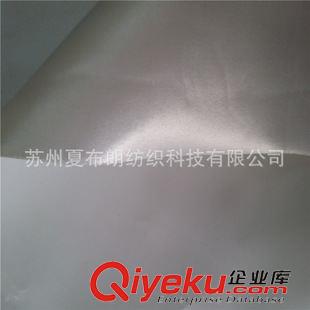 色丁 紡織廠供應 有光色丁PVC壓延50D*75D 化妝包手提包等箱包面料原始圖片3