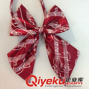 領(lǐng)花 領(lǐng)結(jié) 廠家專業(yè)批發(fā)東莞女士職業(yè)裝領(lǐng)花 銀行 空姐領(lǐng)花 男士雙層領(lǐng)結(jié)原始圖片2