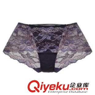 8.19~秋季新品 外貿(mào)原單 出口日本 客供蕾絲高彈力超舒服女士?jī)?nèi)褲