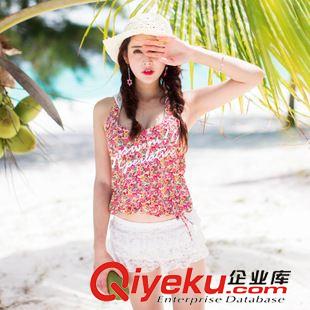 bjn四件套 2015新款泳衣 時(shí)尚性感鋼托款分體裙式四件套泳衣 74075
