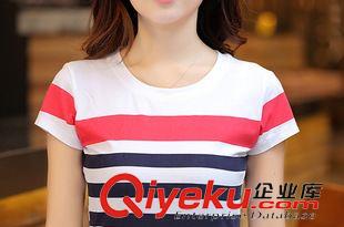 短袖T恤 批發2015新款夏裝韓版圓領短袖純棉T恤衫條紋修身顯瘦女上衣原始圖片3