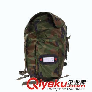 攜行背包 牛津布迷彩包 雙肩包 戶外休閑徒步迷彩包原始圖片3