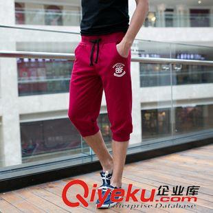 七分褲 2015春夏季新款七分褲男款收腳運動褲男式休閑褲修身7分褲哈倫褲原始圖片2