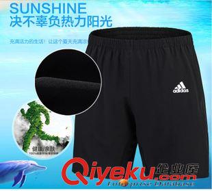 五分褲 2015夏季新款男裝休閑速干透氣運(yùn)動(dòng)短褲網(wǎng)球褲籃球褲一件代批發(fā)原始圖片3