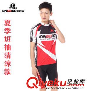 夏季套裝 KINGBIKE金巴克 短袖騎行服套裝男女款 自行車服裝吸濕排汗透氣