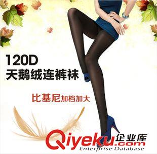 本店熱銷TOP 10 微商優(yōu)質(zhì)貨源 品彩120D天鵝絨bjn提花加檔加大連褲襪,連褲襪