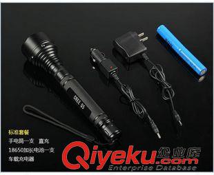 強(qiáng)光手電類 巡防電筒 強(qiáng)光巡防電筒 巡邏手電 保安器材 電筒批發(fā)