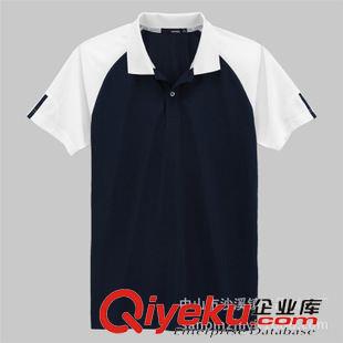 翻領T恤（Polo Shirts） 專業定制男式吸濕排汗功能運動翻領T恤