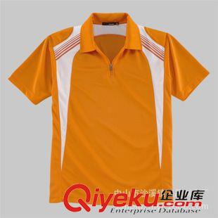 翻領T恤（Polo Shirts） 專業定制男式吸濕排汗功能運動翻領T恤