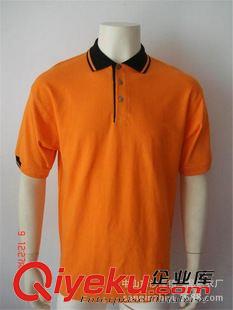 翻領(lǐng)T恤（Polo Shirts） 專業(yè)定制夏裝休閑翻領(lǐng)T恤衫