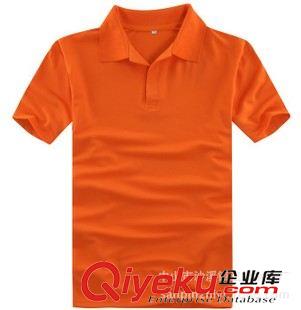 翻領T恤（Polo Shirts） 男式T恤衫系列 純棉翻領T恤 男式休閑polo衫