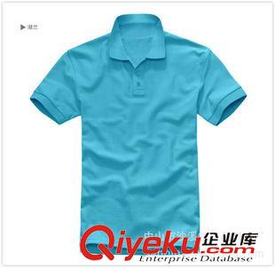 翻領(lǐng)T恤（Polo Shirts） 男式T恤衫系列 純棉翻領(lǐng)T恤 男式休閑polo衫