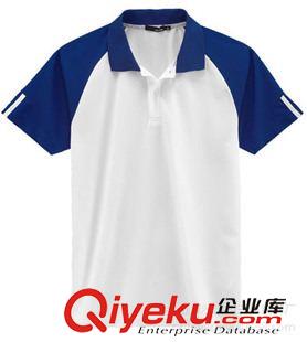 翻領T恤（Polo Shirts） 專業 定制翻領t恤衫，純棉自動間條紋衫