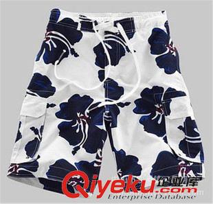 沙灘褲(Beach Pants) 專業廠家定制各種沙灘褲，短褲，桃皮絨面料