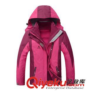 棉衣 廠家直銷 冬季新款連帽女士羽絨棉服 加厚保暖中老年女式棉衣外套原始圖片2