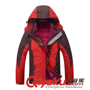 棉衣 廠家直銷 冬季新款連帽女士羽絨棉服 加厚保暖中老年女式棉衣外套原始圖片3