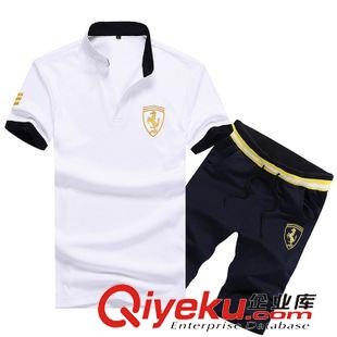 短袖運(yùn)動(dòng)套裝 2015夏季新款男士休閑套裝 短袖立領(lǐng)T恤短褲套裝批發(fā) 品質(zhì)保證