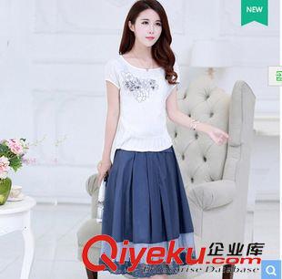 套裝 歐洲站2015 短袖棉麻 夏季新款女裝刺繡t恤長(zhǎng)裙兩件套復(fù)古文藝范原始圖片2