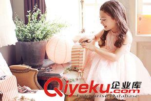 童禮服 公主裙 （大組） 一件代發(fā) 夏季爆款童裝高質(zhì)純棉里布無袖背心蕾絲網(wǎng)紗公主連衣裙原始圖片2