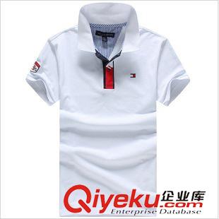 tommy品牌 夏季新款中年男式短袖polo衫外貿(mào)tm出口純棉翻領(lǐng)T恤男一件代發(fā)