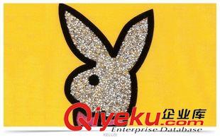 T恤 定制款2015秋冬新款童裝休閑長袖動物純色口袋中長款女童長t恤