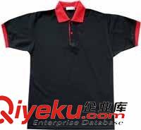 短袖翻領(lǐng)衫 真品人氣廣告衫XXLXXXL秋季適用合體型PoloXL黑色T恤刺繡/繡花t恤原始圖片2