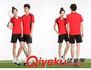5038 羽毛球服套裝運動服 2015男女款比賽服短袖圓領夏季速干隊服團購