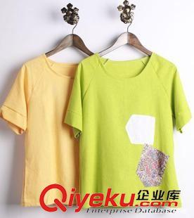 服裝系列（清倉(cāng)區(qū)） 2014新款原創(chuàng)民族風(fēng)復(fù)古gd女裝棉麻襯衫短袖休閑T恤上衣襯衣原始圖片3