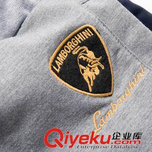 運動長褲 2015秋冬新款 男士韓版休閑加絨針織衛(wèi)褲 休閑運動褲大碼褲子男原始圖片3