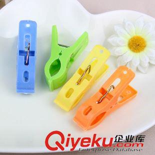 4月新款 2元店貨源 家居必備 純色晾衣夾子 塑料夾 曬衣夾 20個(gè)套裝原始圖片3