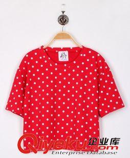 4月爆款 女式t恤顯瘦女韓 2015夏季小圓點寬松波點圓領(lǐng)短袖T恤女 打底衫原始圖片2