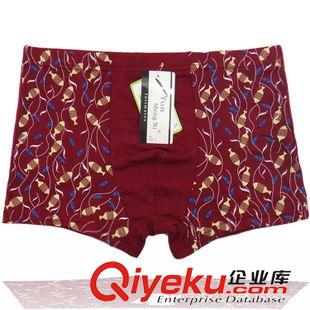 新品發(fā)布 廠家直銷全棉女內(nèi)褲 純棉收腹提臀彈力女式高腰內(nèi)褲 一件代發(fā)