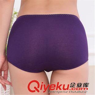 新品發(fā)布 廠家直銷全棉女內(nèi)褲 純棉收腹提臀彈力女式高腰內(nèi)褲 一件代發(fā)