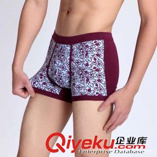 新品發(fā)布 廠家批發(fā)男士中腰印花內(nèi)褲 男式平角褲 kj透氣男短褲 一件代發(fā)