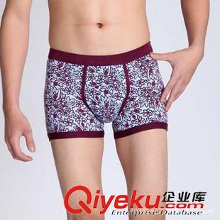 新品發(fā)布 廠家批發(fā)男士中腰印花內(nèi)褲 男式平角褲 kj透氣男短褲 一件代發(fā)