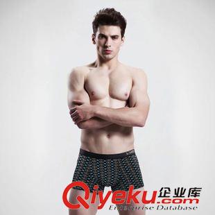 竹纖維男士內褲 廠家批發 汕頭男士內褲 gdU凸舒適竹纖維男平角 一件代發