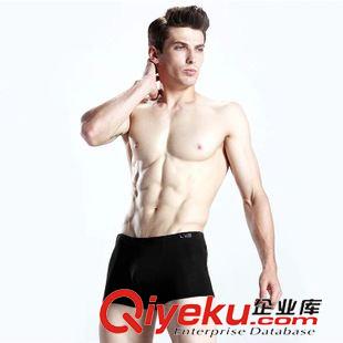 竹纖維男士內(nèi)褲 廠家批發(fā)男士無痕平角內(nèi)褲 一片式無側(cè)痕純色男內(nèi)褲 一件代發(fā)原始圖片3