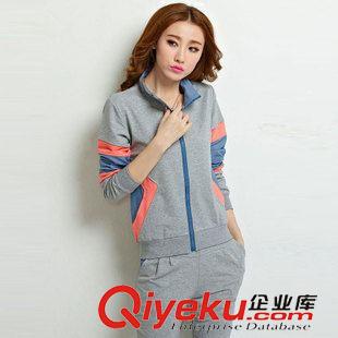 7月5號秋款 大碼修身運動服套裝女秋冬2015新款女士時尚連帽衛衣休閑套裝8102