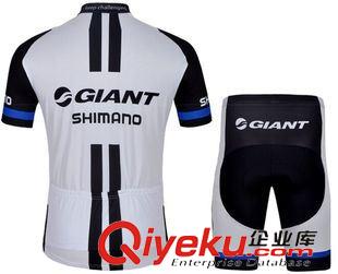 騎行套裝 2015熱銷(xiāo)的騎行服套裝捷安特自行車(chē)服短袖單車(chē)服