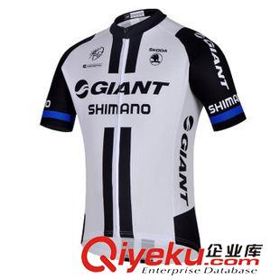 騎行套裝 2015熱銷(xiāo)的騎行服套裝捷安特自行車(chē)服短袖單車(chē)服