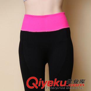 所有寶貝 廠家直銷新款時尚彩色拼接七分運動褲 女士彈力健身瑜伽褲批發(fā)原始圖片3