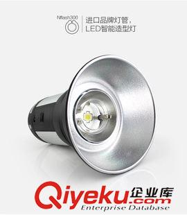 外拍燈系列 耐思經(jīng)典300 外拍燈 套裝白光造型燈 內(nèi)置無線 高速攝影燈閃光燈原始圖片3