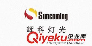 logo設(shè)計 輝科燈光logo設(shè)計 品牌設(shè)計原始圖片2