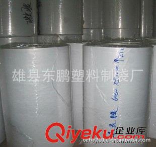 +供應Bopp珠光膜/厚珠光 河北供應珠光膜